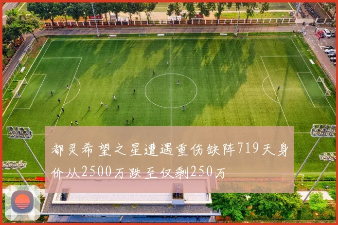 都灵希望之星遭遇重伤缺阵719天身价从2500万跌至仅剩250万